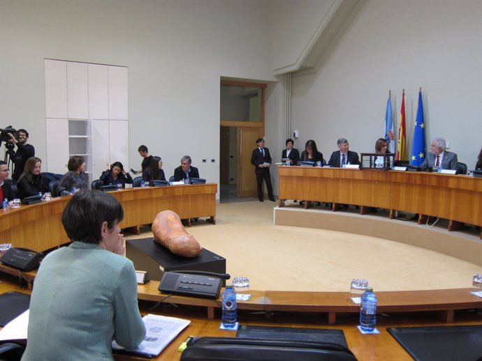 Constituida la comisión de las cajas en el Parlamento de Galicia.