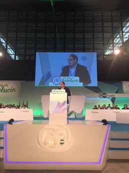 El presidente de ATA. Lorenzo Amor, en el Congreso del PP-A