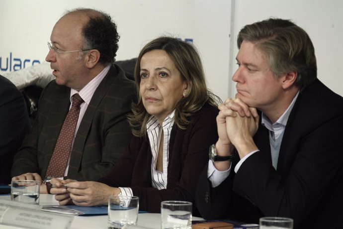 Comité ejecutivo, PP, Génova, Carmen Navarro, tesorera PP