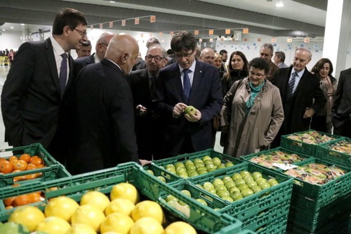 Agencia Catalana de Noticias