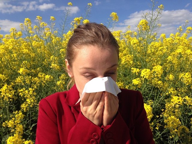Alergia, estornudo, halitosis