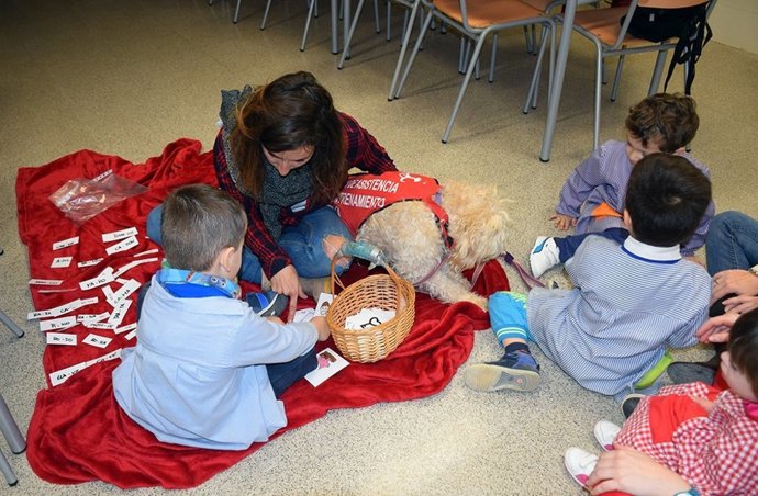Una de les sessions de teràpia amb gossos