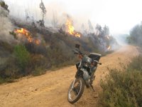 Diez detenidos o investigados en lo que va de año por provocar incendios forestales