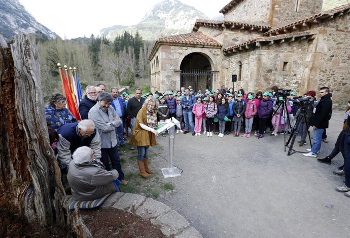Plantación del tejo de Lebeña