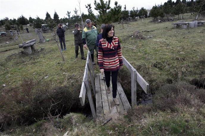 La conselleiro de Medio Rural en el Monte de A Braxe