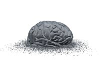 Descubren un gen responsable del envejecimiento cerebral