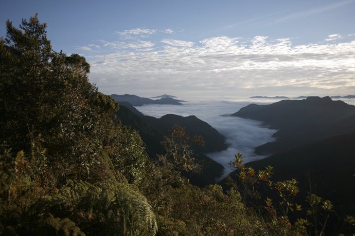 A view during the Bolivia Sky Race in Chuspipata, about 50 km (31 miles) northea