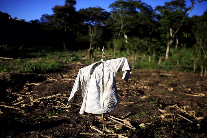 A shirt used as a scarecrow is seen near where police investigators are working 