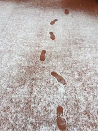 El invierno 2016-2017, el más húmedo de los últimos 76 años