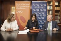 CNIO y PharmaMar firman un acuerdo de colaboración para identificar terapias antitumorales de origen marino