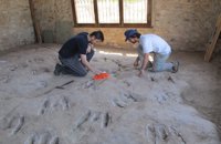 Un estudio de la UJA revela que las huellas de Santisteban del Puerto son de un reptil bípedo en un ambiente costero