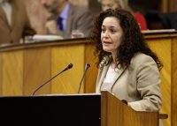 IU considera que la sanidad privada en Cádiz "no es auxiliar", tras el nuevo concierto con clínicas Pascual