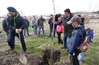 Alumnos de varios colegios celebran el Día del Árbol con la plantación de 350 ejemplares en La Cañada (Ávila)