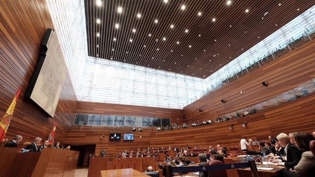 Pleno de las Cortes
