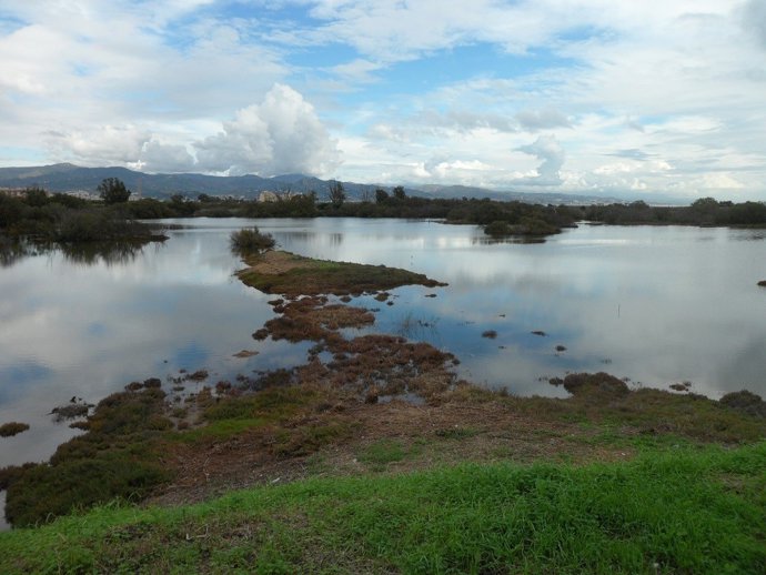 Coca-Cola en España devolvió en 2016 a la naturaleza el 95% del agua que contien