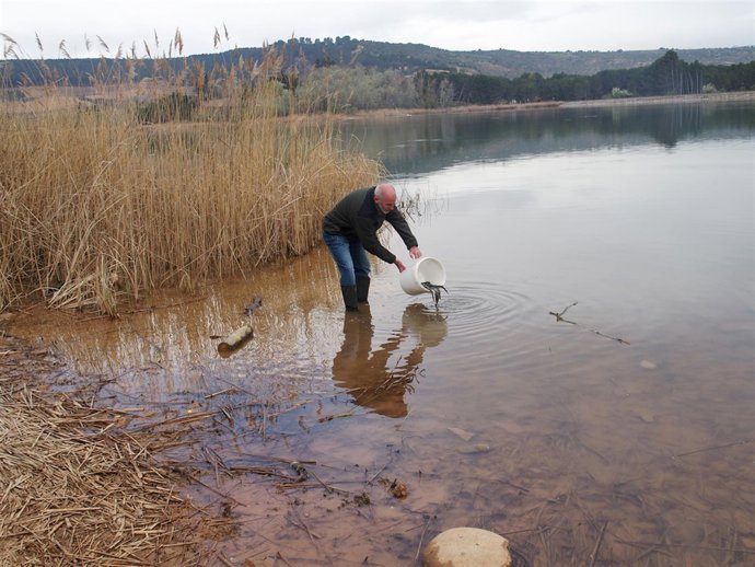 Ruiz Tutor echa anguilas a La Grajera    