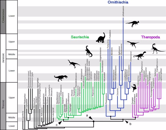 Nuevo árbol genealógico de los dinosaurios