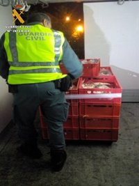 Detenidos dos empleados de un matadero de Zuera tras hurtar carne y un furgón frigorífico