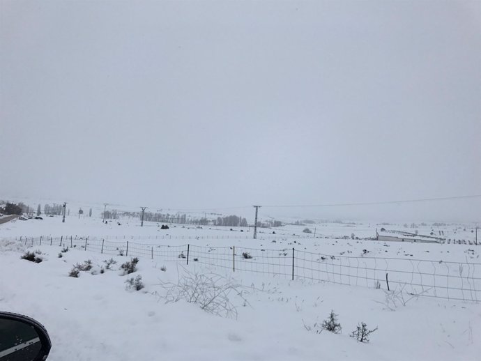 Nieve, nevada, frío, temporal