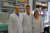 Descubren una conexión entre dos enzimas y una proteína relacionada con el cáncer
