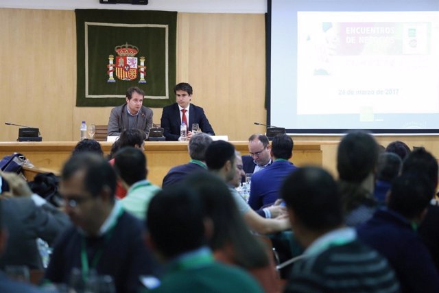 Encuentro de negocios celebrado en la Diputación de Sevilla