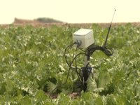 Marcos pedirá a Hogan una PAC para la "agricultura real"