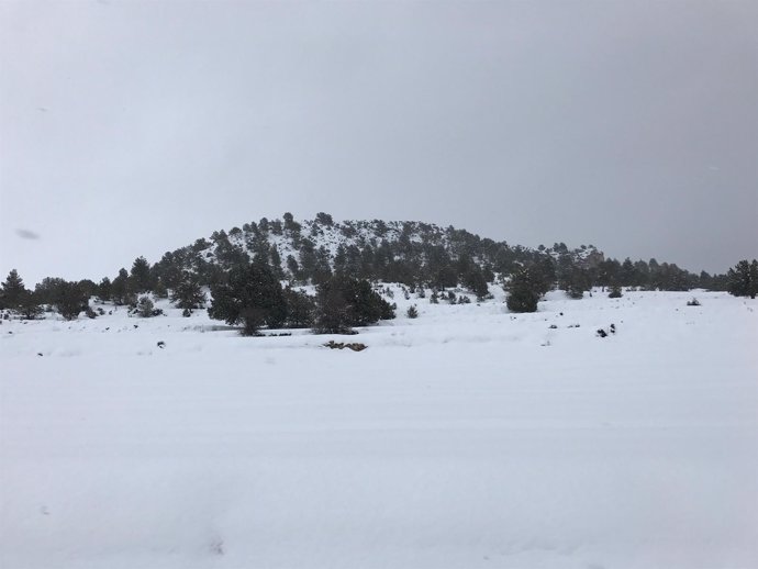 Nieve, nevada, frío, temporal