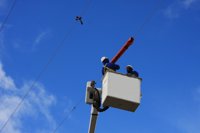 Iberdrola culmina la corrección de una línea eléctrica peligrosa para las aves en Ávila