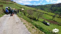 Una mujer resulta herida tras caer su coche por un desnivel de 7 metros en Cangas del Narcea