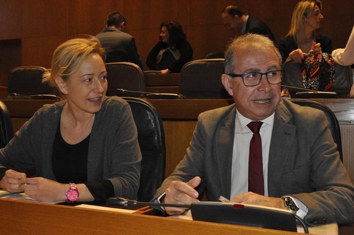 Fernando Gimeno en el pleno de las Cortes de este lunes.