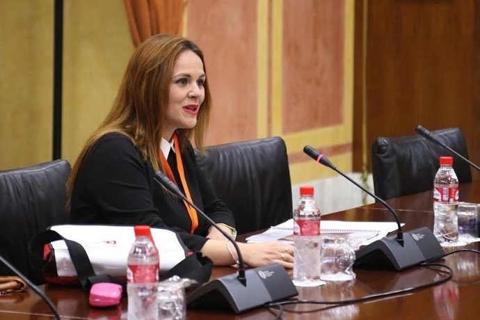 Barbero comparece en el Parlamento de Andalucía