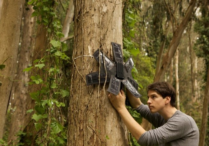 Móviles solares para evitar la tala en los bosques del Amazonas