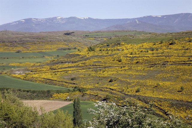 Geoparque de Las Loras