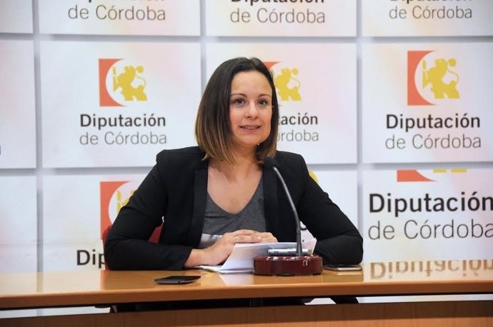 Guijarro presenta la convocatoria de subvenciones