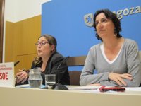 El PSOE replica a Cubero que en la pasada legislatura  "también se abrían expedientes a FCC"