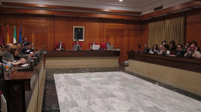 Celebración del Pleno del Ayuntamiento