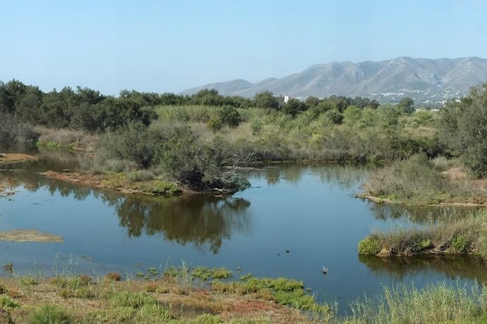 Desembocadura del guadalhorce paraje natural junta medio ambiente aves 