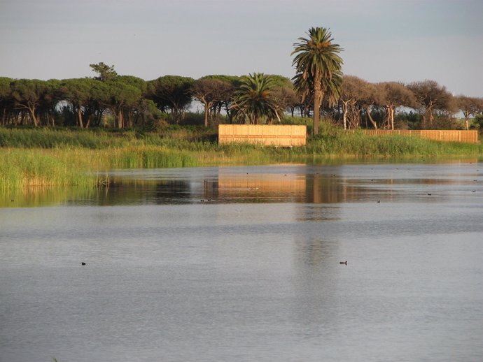 Delta del Llobregat