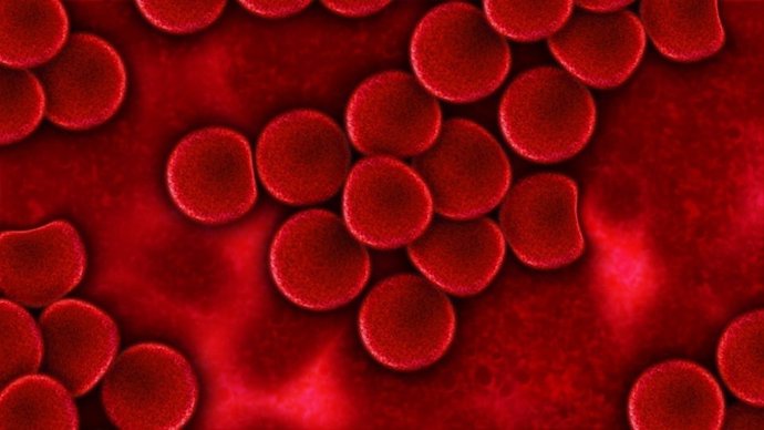 Glóbulos rojos, sangre