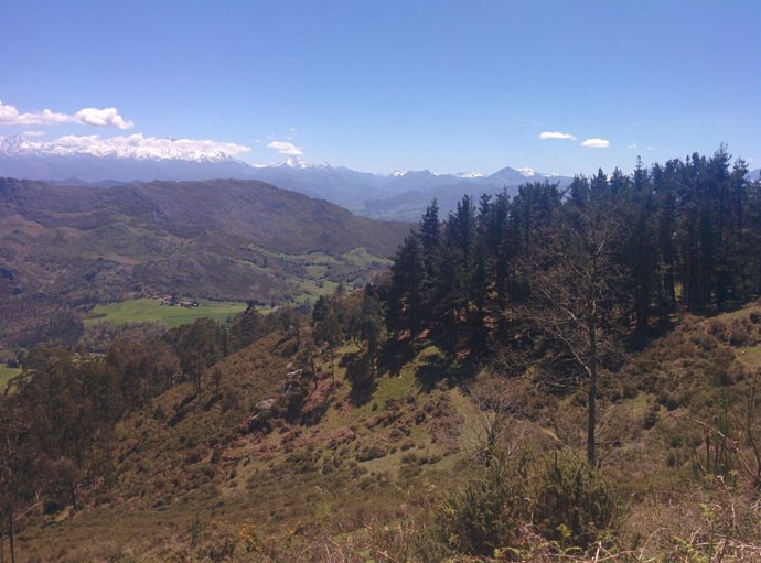 Montaña, turismo rural, Asturias, paisaje