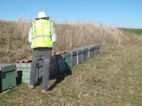 Investigado por hurtar 32 colmenas en Riaza (Segovia)