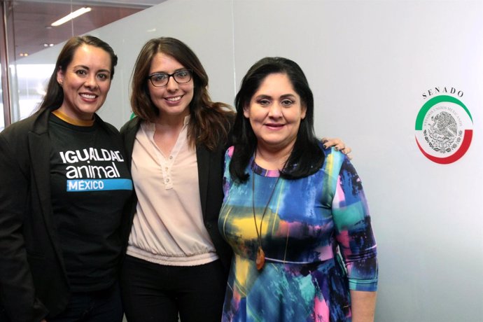 Representantes de Igualdad Animal México con la senadora Diva Gastélum