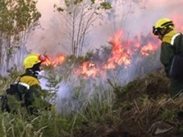 Incendios Forestales