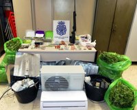 14 detenidos tras desmantelar un inmueble dedicado producir y vender marihuana y hachís