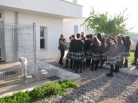 Un 55% de los animales del Centro Municipal de Acogida fueron adoptados o recuperados el año pasado