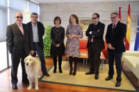 La ley de discapacitados acompañadas por perros en C-LM podría estar en 2018