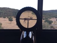 La caza aumentó en un 40% en el último cuatrienio y generaron 5.000 millones de euros en 2016, según el sector