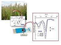 Un grupo de investigadores de la UAM desarrolla un nuevo método para detectar micotoxinas en cereales
