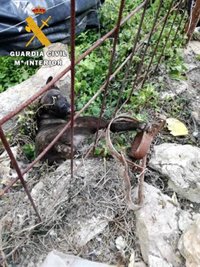 Investigan a un vecino de Dalías por el uso de cepos en los que quedó atrapado un perro