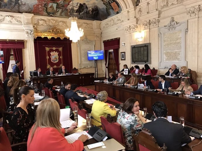 Pleno del Ayuntamiento de Málaga. Marzo 2017